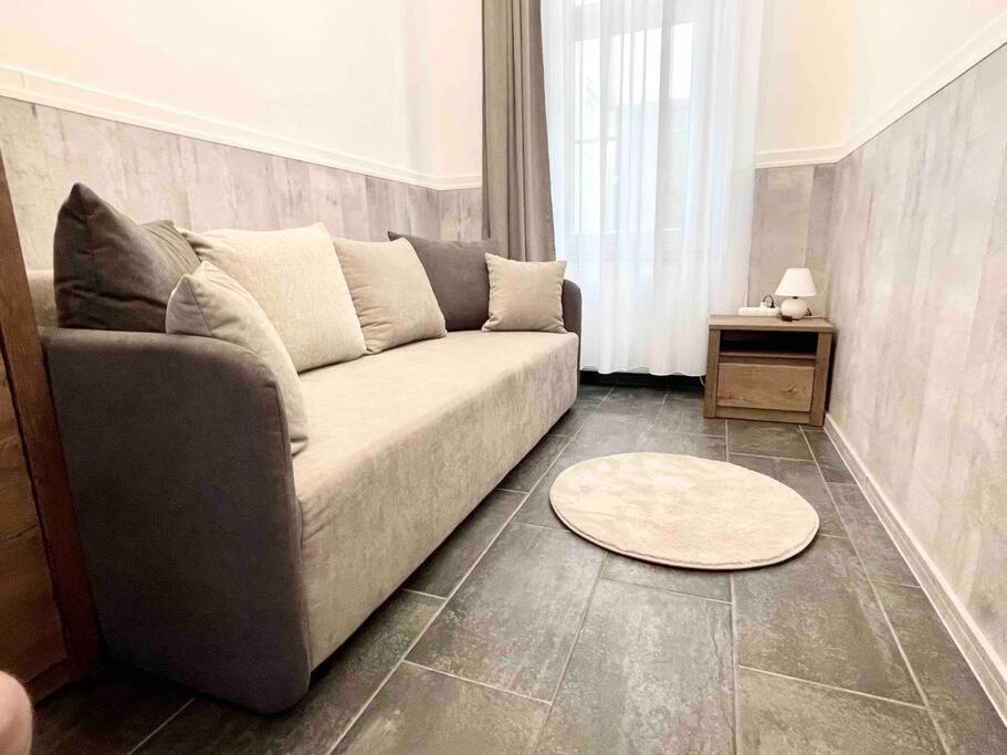 D3 Basilica Luxury Spacious Free Parking For 1 Car Lejlighed Budapest